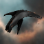 ♦ DED Special Operation Captain