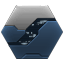 Gila Storm Bear SKIN