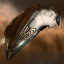 Amarr Frigate Impairor