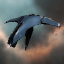 Drainer Enforcer Disparu Troop