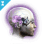 Advanced Capsuleer Defense Augmentation Chip