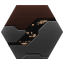 Gallente Shuttle Aliastra SKIN