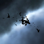 'Draccous' Fortizar Wreck (copy)