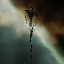 Serpentis Tower Wreckage