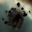 Gallente Elite Freighter Wreck