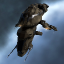 Guristas Hijacker Taipan