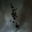 Triglavian Fortification Unit 03 Wreck