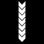 Rank and File - Limited