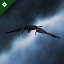 Caldari Navy Locust
