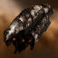 Corpus Exarch