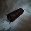 Expedition Research Cache
