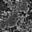 Oxidative Stress - Limited