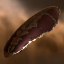 Imperial Raspite Trade-In Transport
